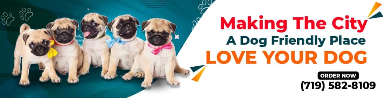 Puppies For Sale From Store